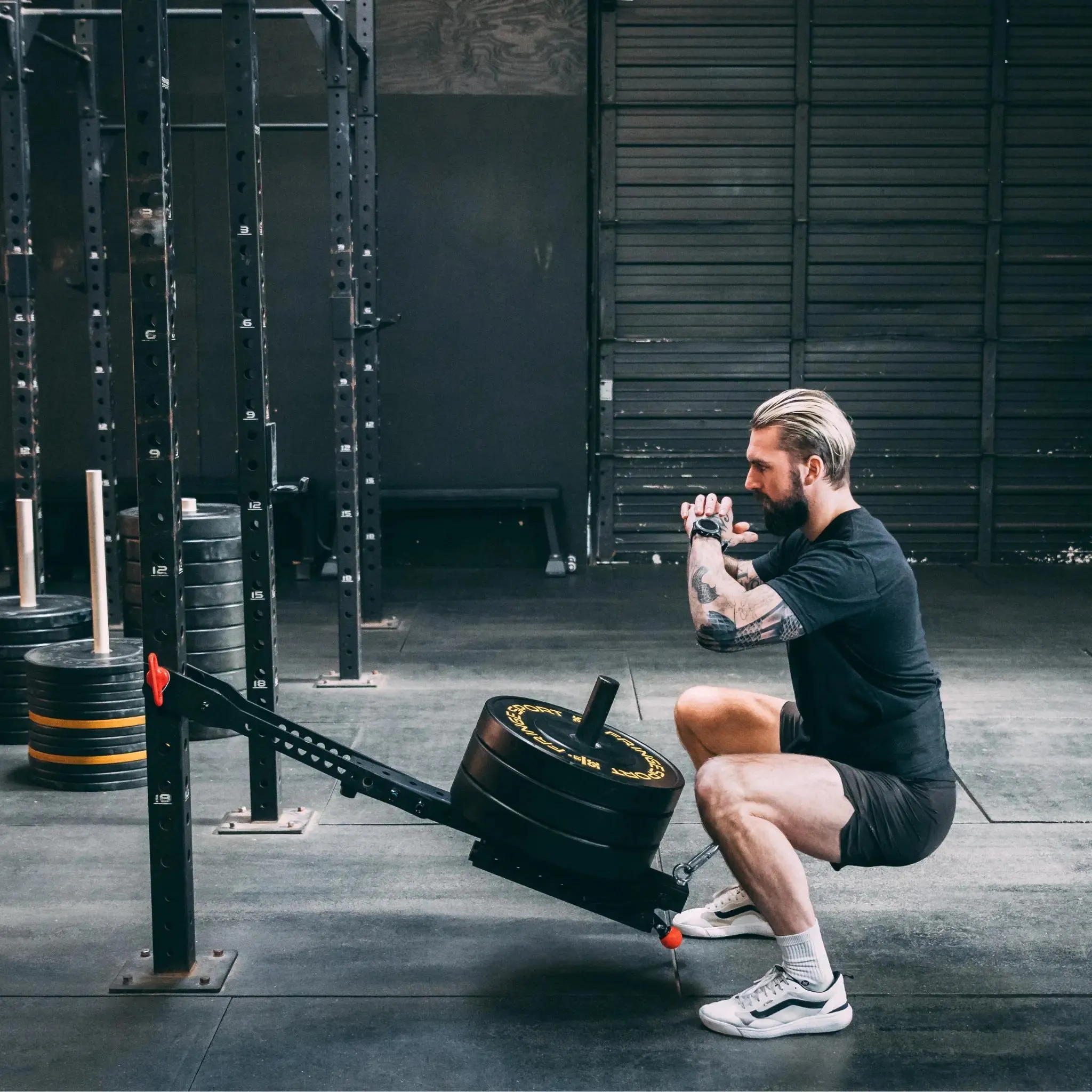 Mammoth Belt Squat (With Free Belt), Balance board for kids