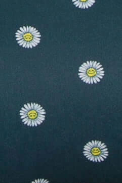 Andy Bikini Bottom - Prints
