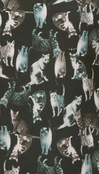Andy Bikini Bottom - Prints