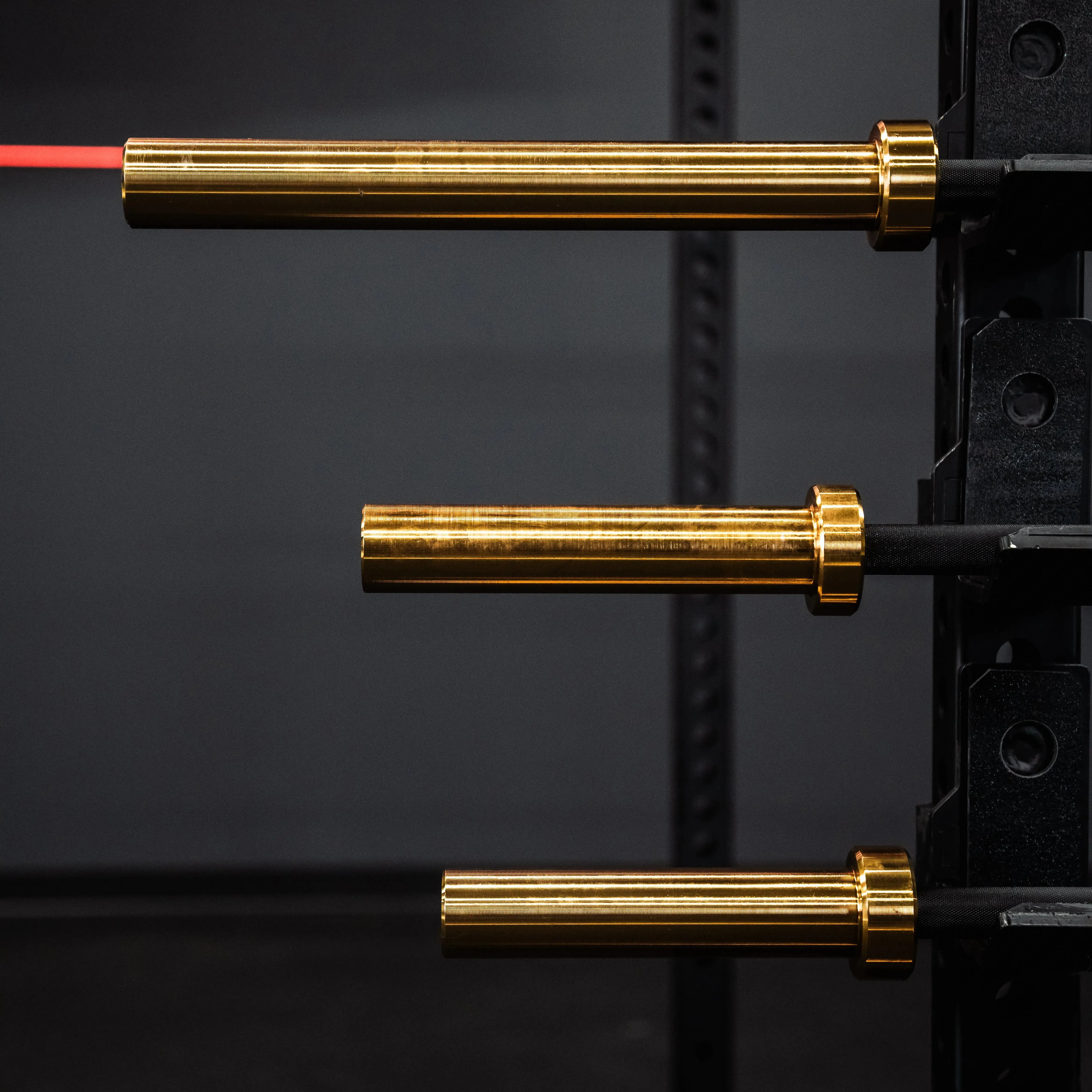 Better Than Ever King Midas Bundle Trending Now, Compact gym equipment for small spaces, Hex dumbbells