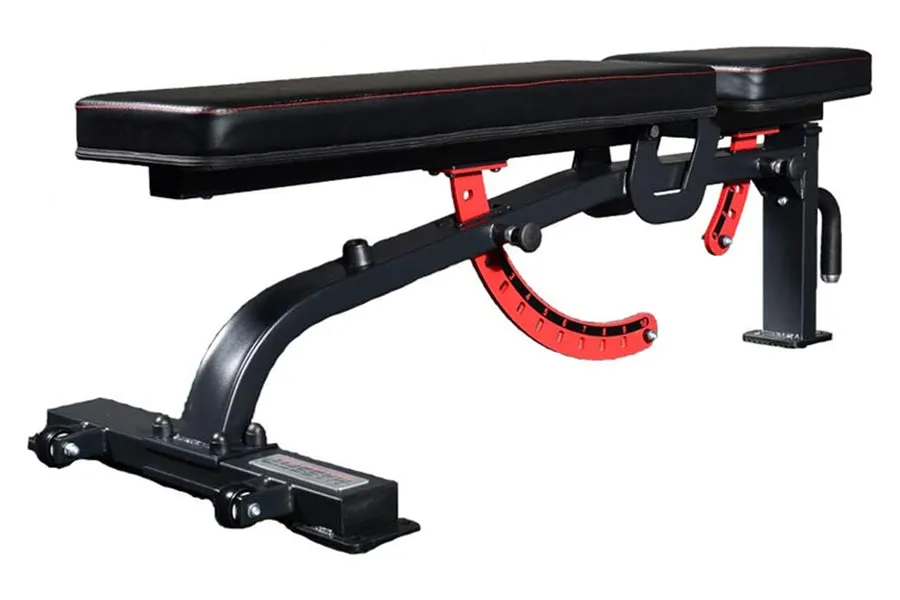 Warrior 500 Adjustable Weight Bench (SUMMER SALE - Extra 10%), Weightlifting belt, Dip Station