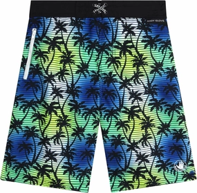 Body Glove Boys Swim Board Shorts - UPF 50  Quick Dry Boys Swim Trunks Bathing Suit Kids Swimwear with Pockets(Sizes: 8-18)
