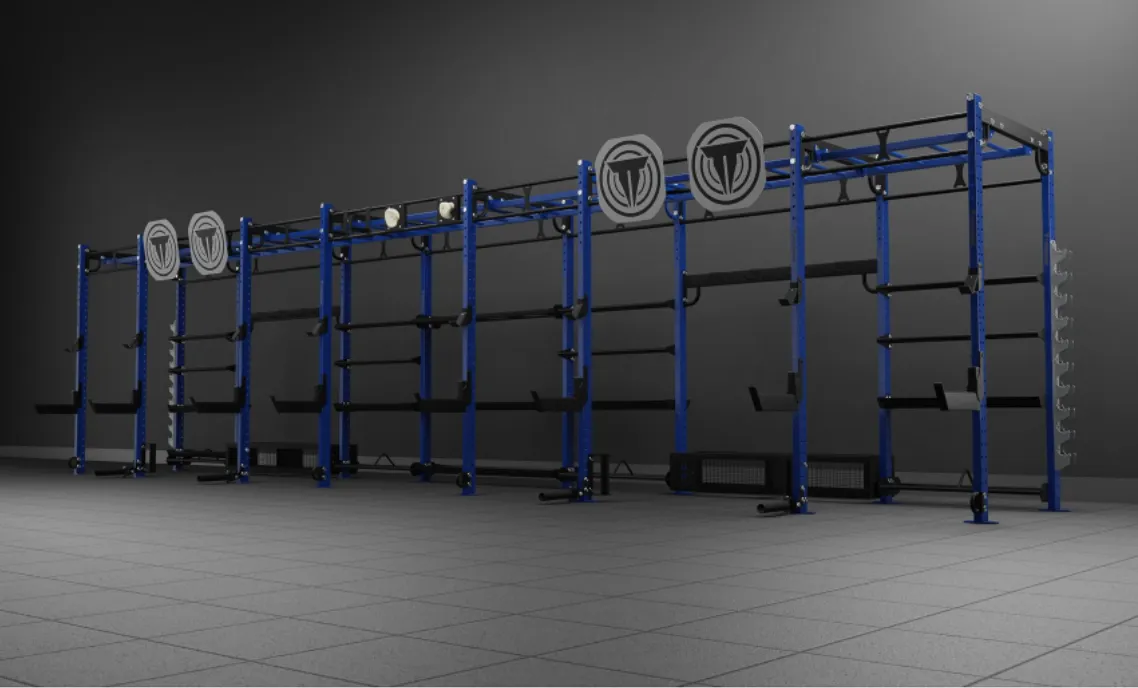 THROWDOWN 4x34 XTC Rig, Olympic Frisbee Set, Parallettes for calisthenics, TENS unit muscle stimulator