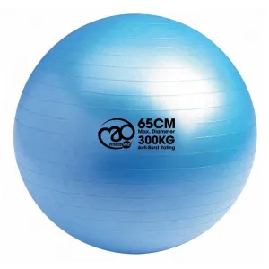 Deal of the Day Fitness Mad 300kg Anti Burst Swiss Ball Only Act Fast, Agility ladder