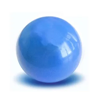 Editor's Choice Balance Training Mini Yoga Balls Quick Buy, Boxing,MMA, Bowflex SelectTech dumbbells, Smith Machines