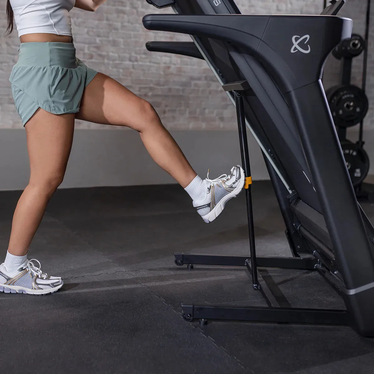 Inspire T4 Treadmill with LED Console, Steppers,ClimbMills