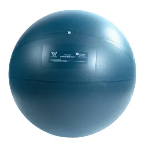 Everyones Talking FitWay Stability Balls Cant-Miss, Air bike exercise, Parallettes for calisthenics