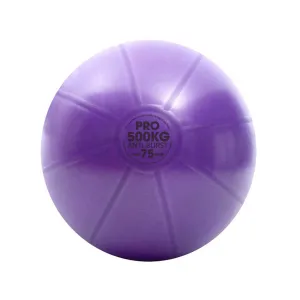 Fan Favorite Fitness Mad Studio Pro 500kg Anti Burst Swiss Ball with Pump Hot Pick, Medicine Ball,Weight Ball