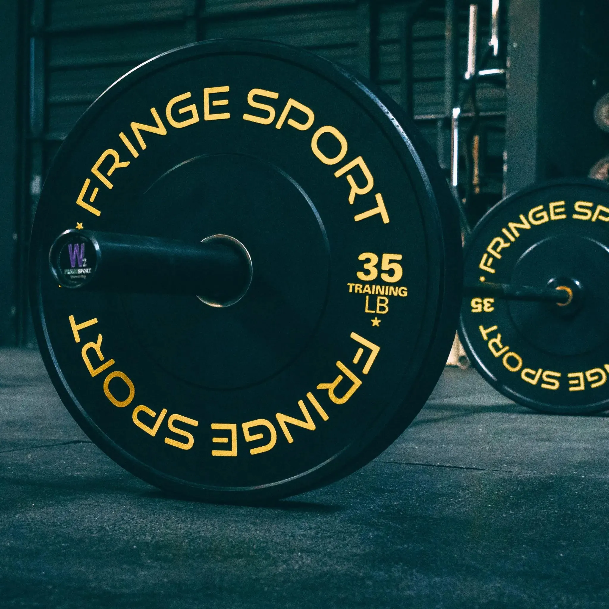 Contrast Bumper Plate Pairs, Creatine monohydrate, Bodyweight Exercises, Yoga Props