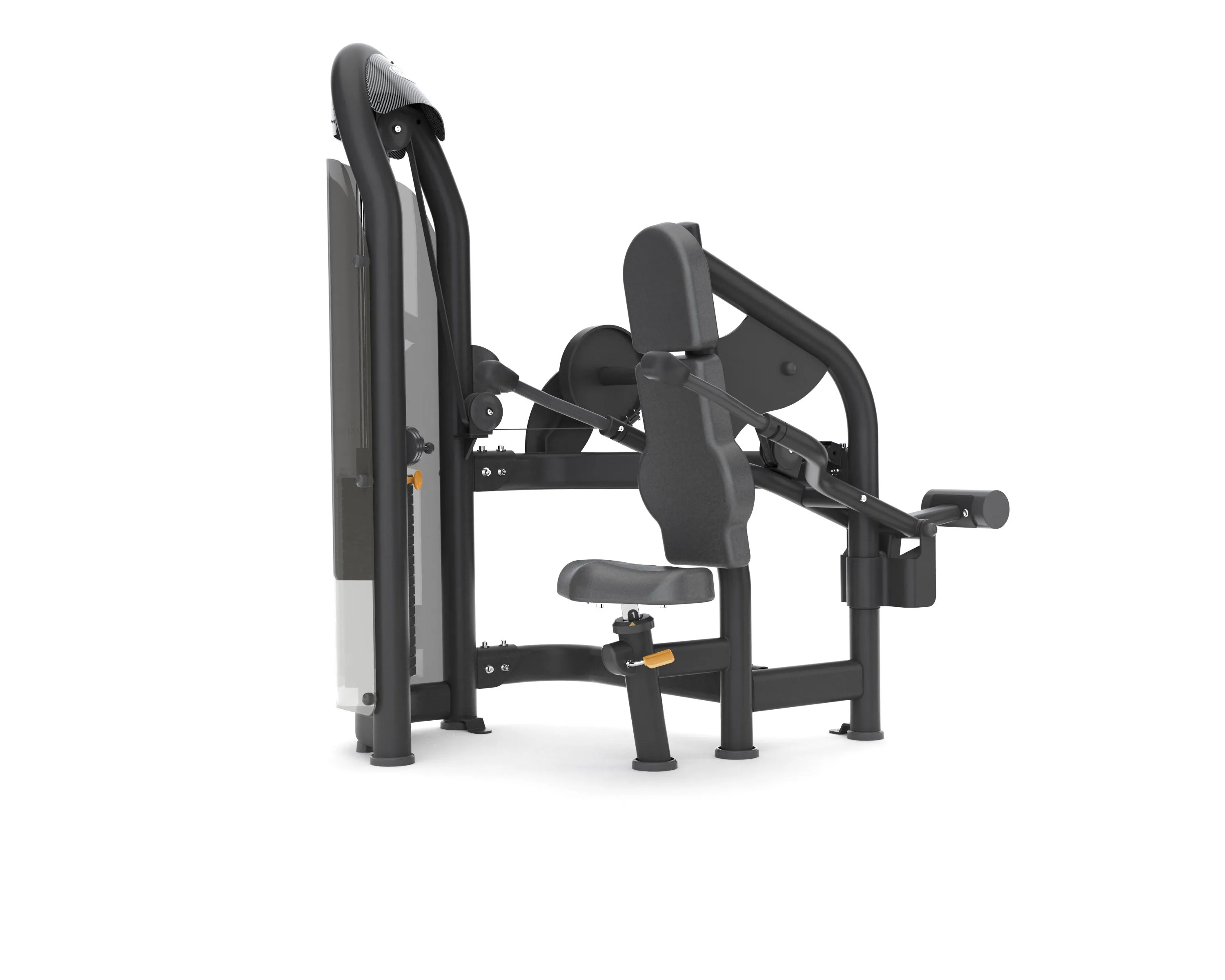 Matrix Aura Triceps Press, Legpress,Hack Squats, Weighted Vests, Vertical climber machine