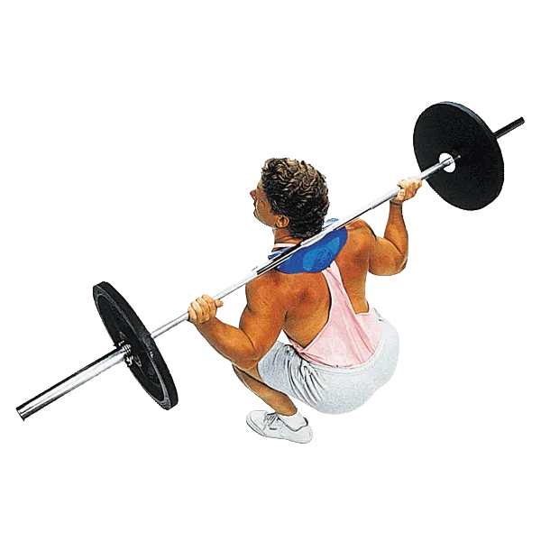 MR136 Manta Ray, Weight Plate Storage, Air,Magnetic Rowers