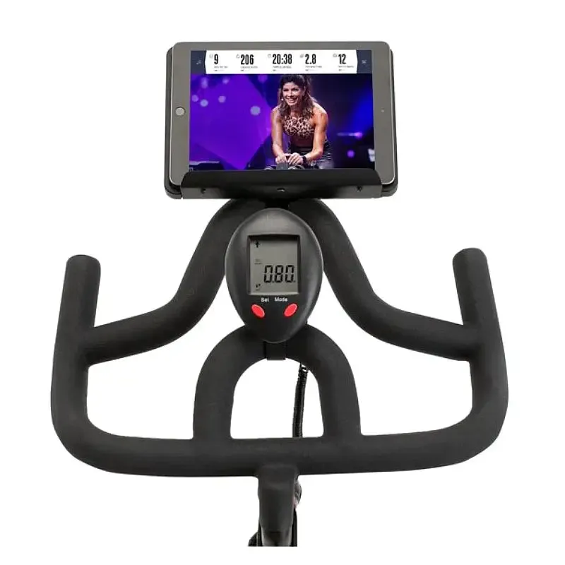 ProForm - SPX 505 Indoor Cycling Spin Bike, Weightlifting chalk, Yoga Blocks,Bricks, Resistance Bands