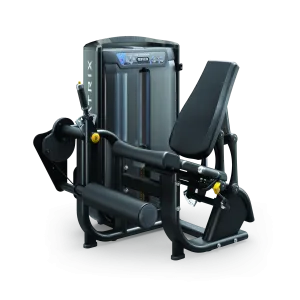 Handpicked for You Ultra Leg Extension Everyones Talking, Portable pull up station, Balance Boards,Disks