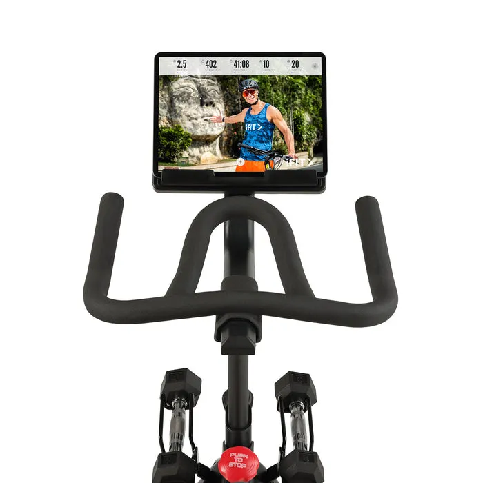 Proform Pro Trainer 500, Rogue Fitness squat rack, Dumbbells