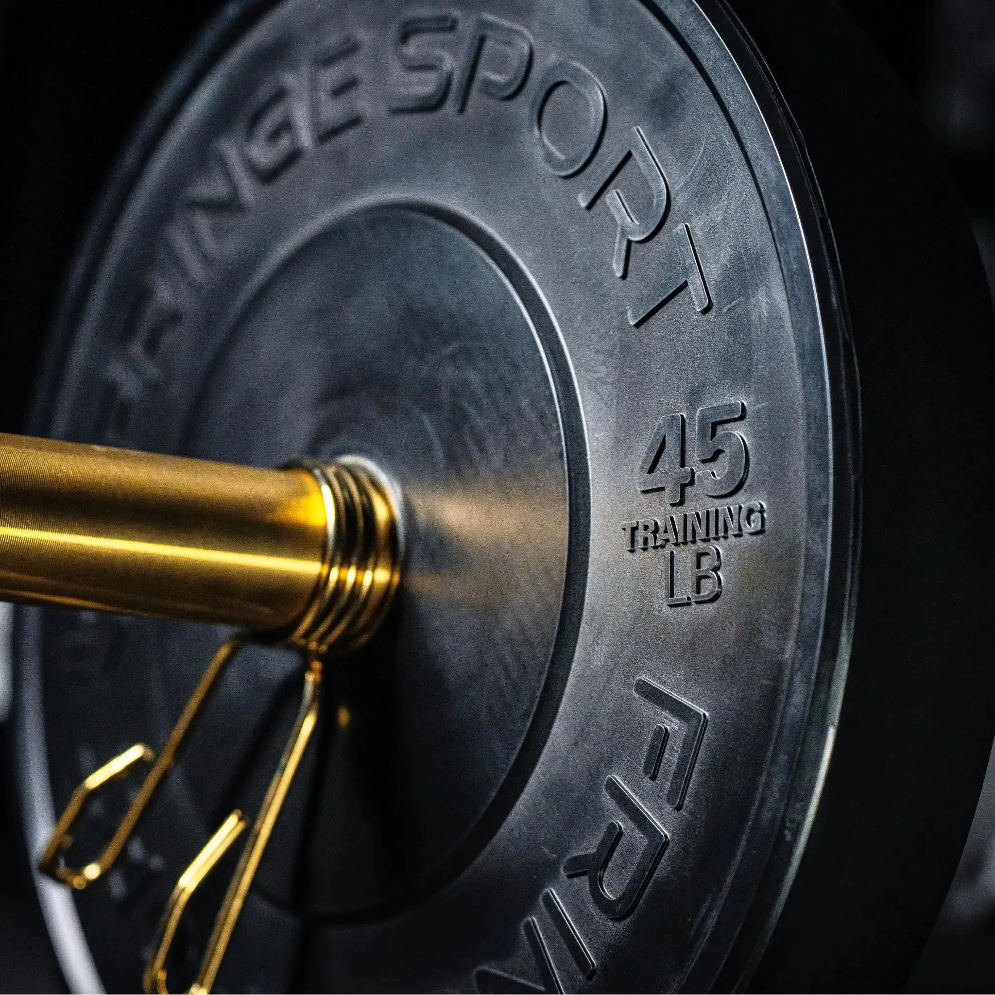 Black Bumper Plate Sets, Sandbags,Battleropes, Posture corrector, Suspension trainer straps