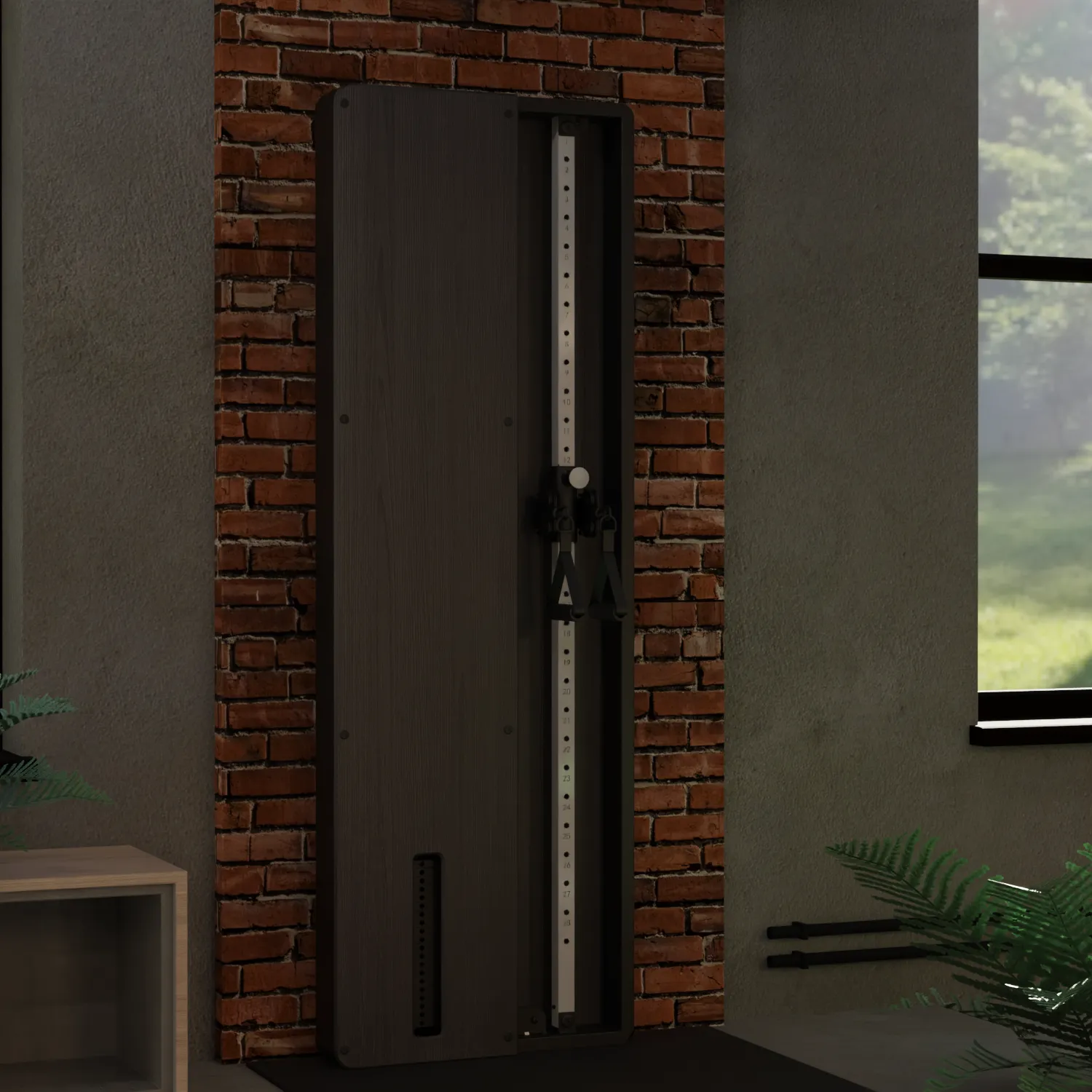 Flow 7 Black - Wall Mounted Functional Trainer, Select Functions, Agility ladder