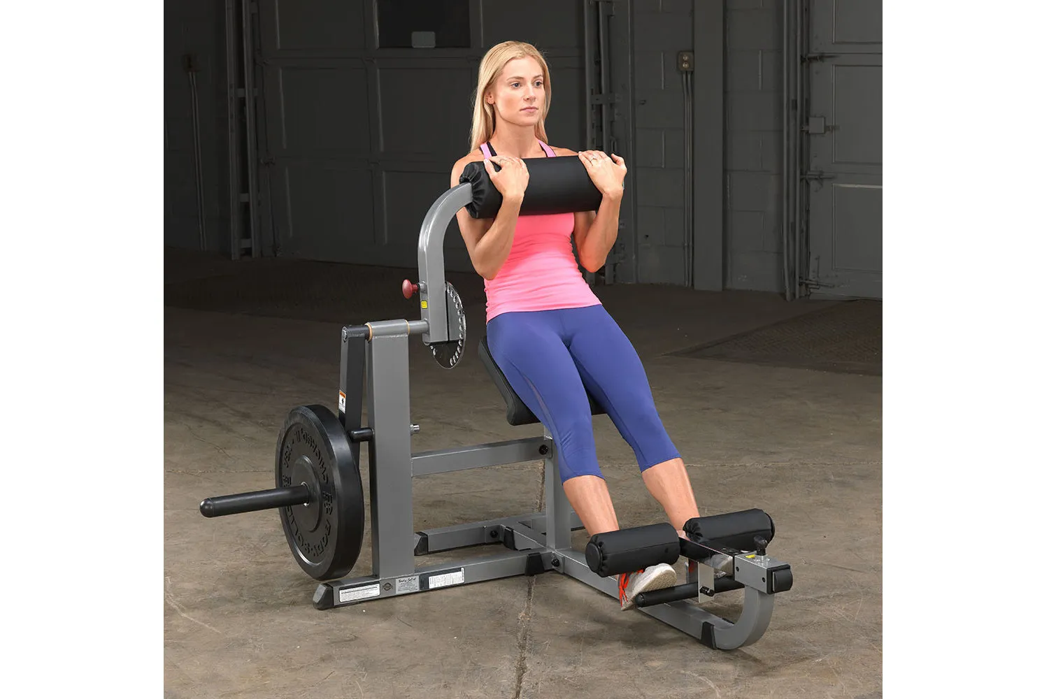 Body-Solid Ab & Back Machine (GCAB360), Handles, Ankle weights