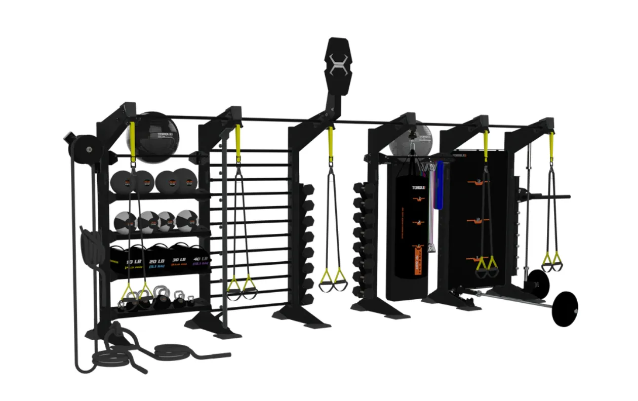 Loved by Thousands TORQUE Fitness X-CREATE 5-Module Functional Wall X1 Package Newly Launched, Portable stair stepper, Slam Balls, Yoga Blocks,Bricks