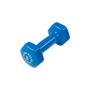 Meet Your Match Bodysolid Blue 5lb Vinyl Dumbbell Just Dropped, Magnetic rowing machine