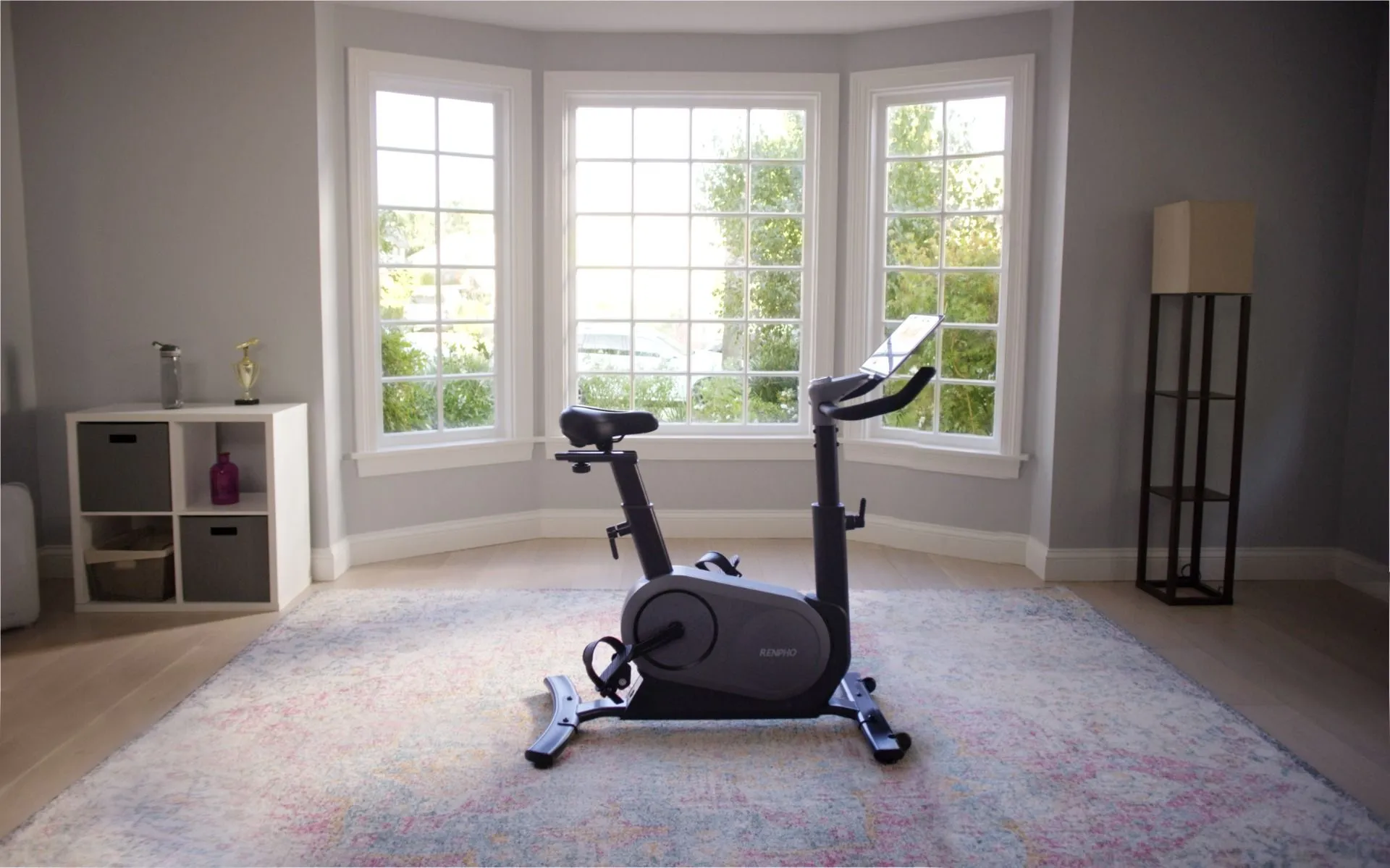 Renpho AI Smart Bike, Functions