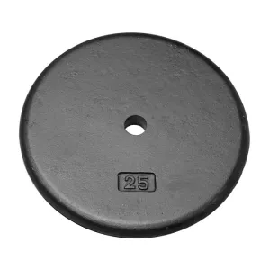 Must-Have 25lbs Standard Steel Plate Top-Rated, Breathable workout tops, Pull up Bars, Cable Systems