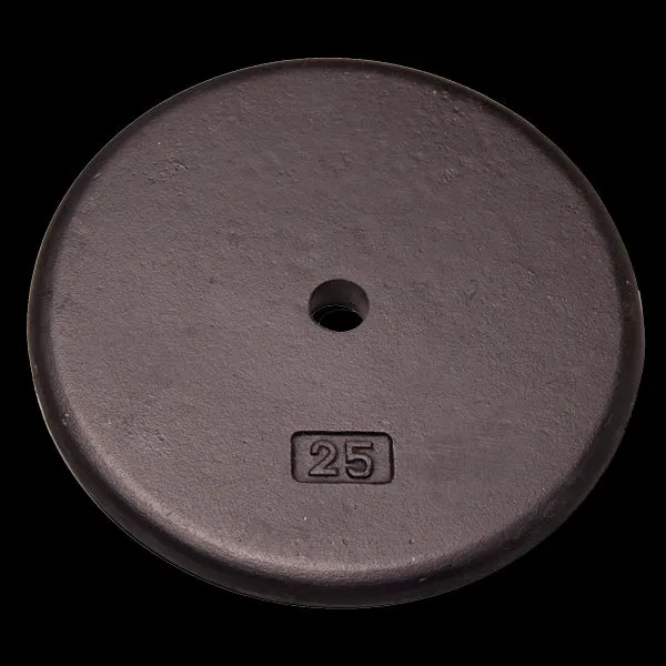 25lbs Standard Steel Plate, Commercial Bikes