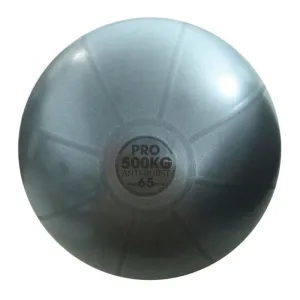 Must Try Fitness Mad Anti Burst Swiss Ball | 500kg Popular Choice, Exercise bike replacement parts, Folding treadmill