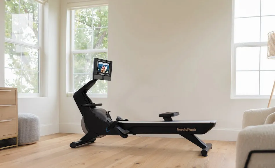 Nordictrack RW 700 Rower, Sandbags