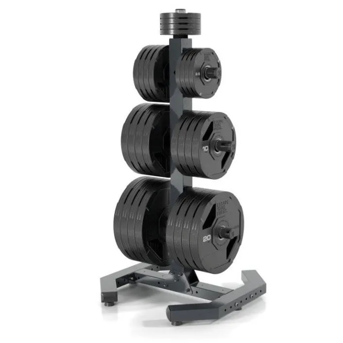 Escape Weight Tree, Dumbbells, Ab Wheel