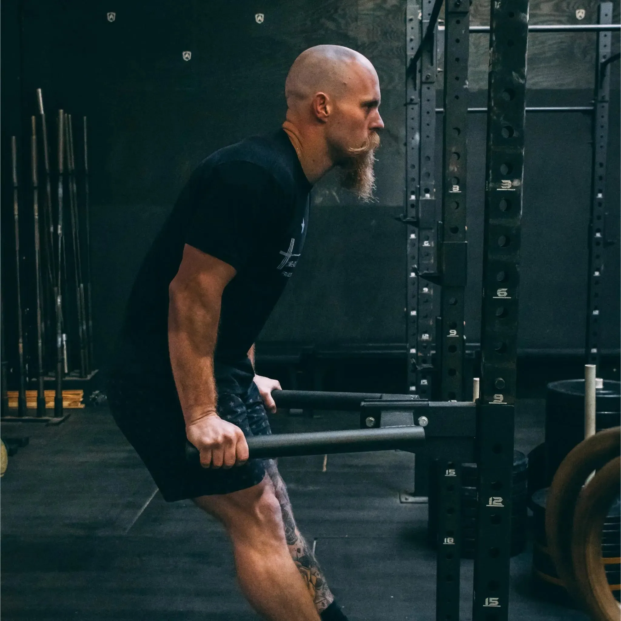 3x3 Dip Station, Parallettes