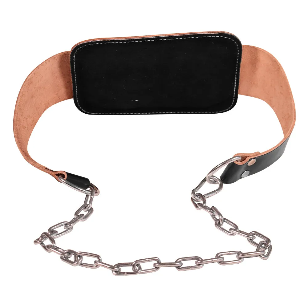 Hit Fitness Dip Belt with Chain, Rower, Adjustable dumbbells, Bikes,Treadmills