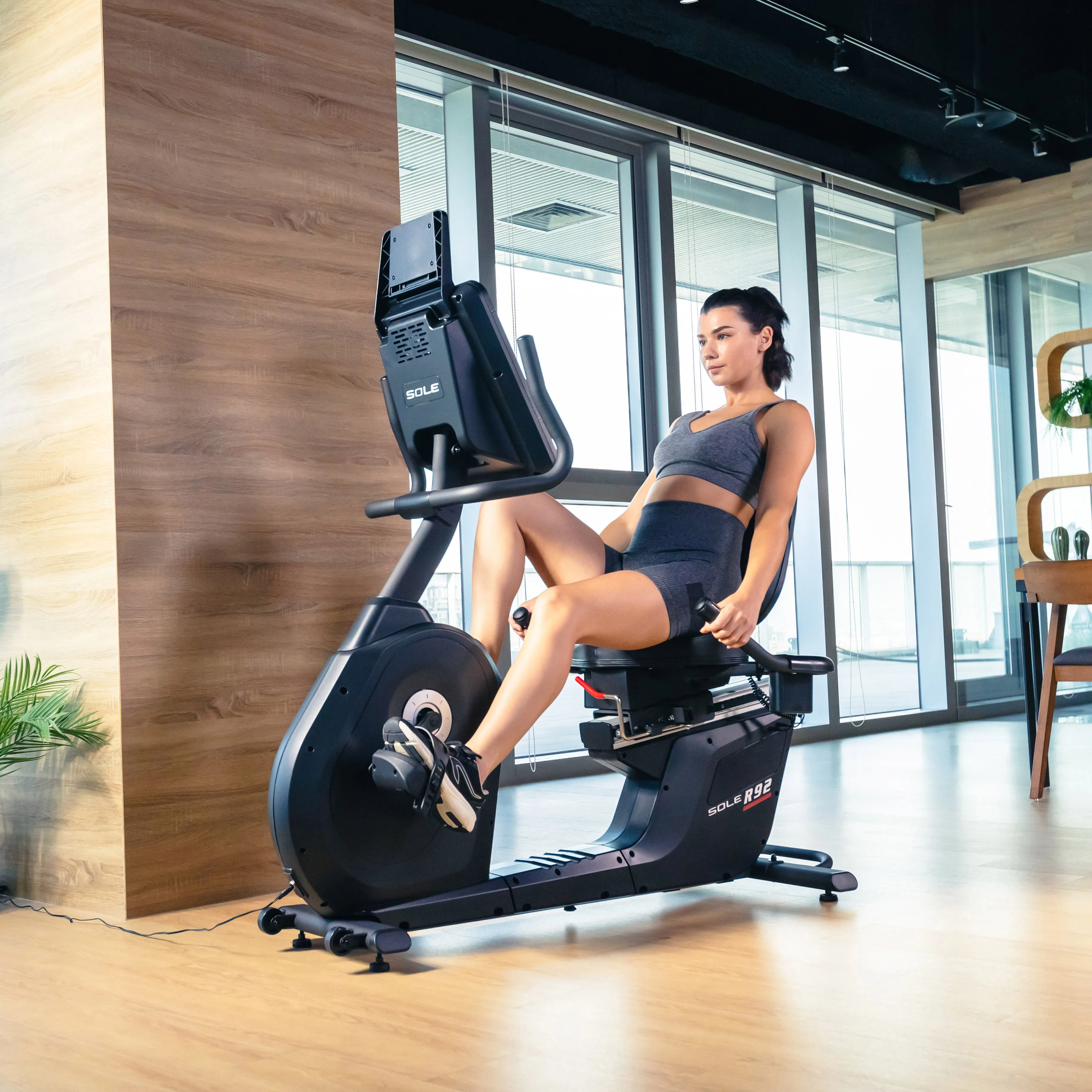 Sole R92 Recumbent Cycle Bluetooth, Mats,Flooring, Foam roller high density, Resistance Bands,Tubes