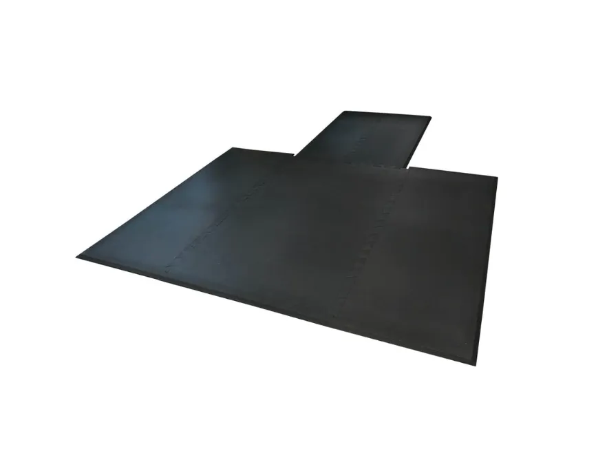 TORQUE Fitness X-RACK Wall Mounted Platform & Inserts, Parallettes