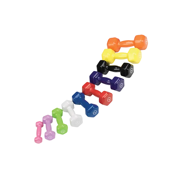 Bodysolid Commercial Vinyl Dumbbell Rack Package, Assault,Air Bikes, Mats