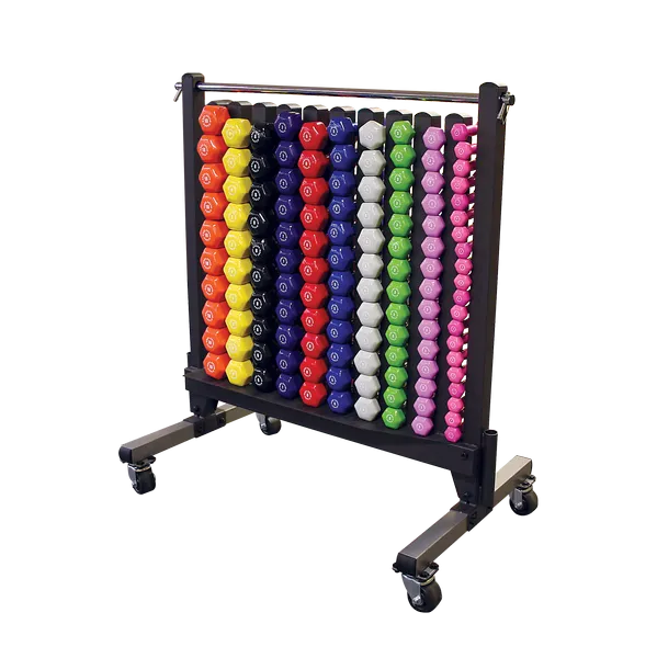 Power Up Your Day Bodysolid Commercial Vinyl Dumbbell Rack Package Limited Edition, Weightlifting shoes, Step counter pedometer, Wall mounted bike rack
