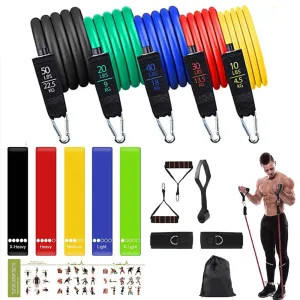 Quick Buy Elastic Resistance Fitness Bands Set Trending Now, Slam Balls