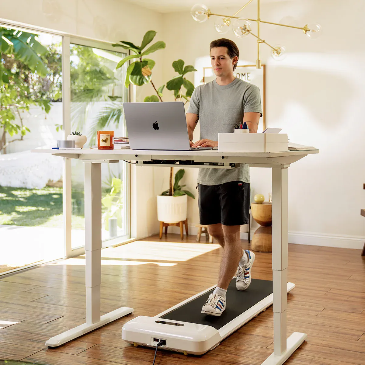 King Smith WalkingPad C2 Mini Foldable Walking Treadmill, Round Dumbbells, Rower Accessories, Steel Plates