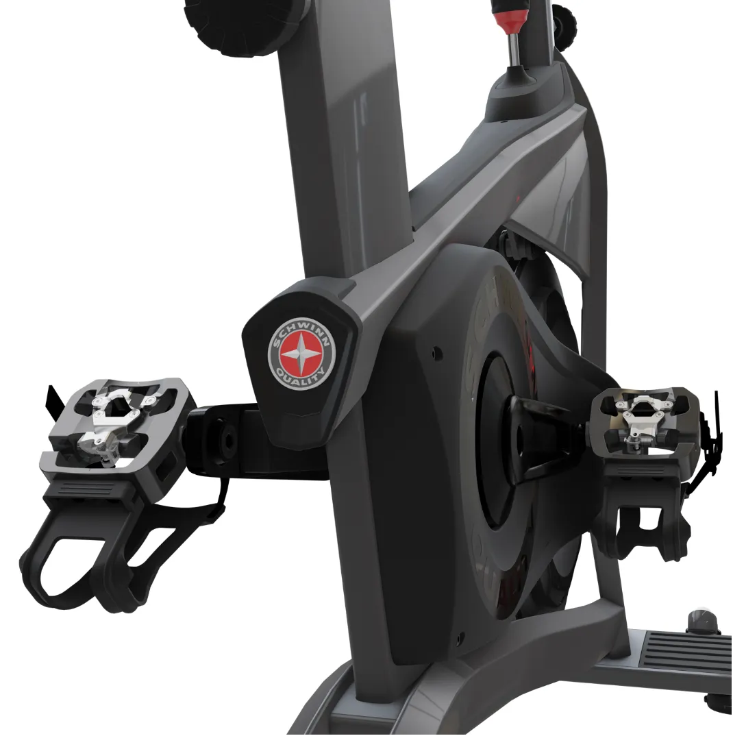 Schwinn X Bike, Climbing,Battle Ropes