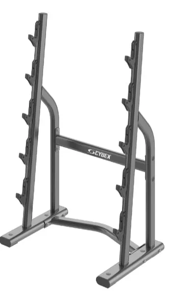 Cybex Ion Barbell Rack, Treadmill for home, Wearable Weight