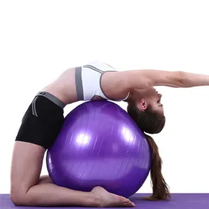 Ready to Ship Fitness Balance Exercise Rubber Ball Youll Love This, Exercise Mats, Ellipticals, Stair climber machine