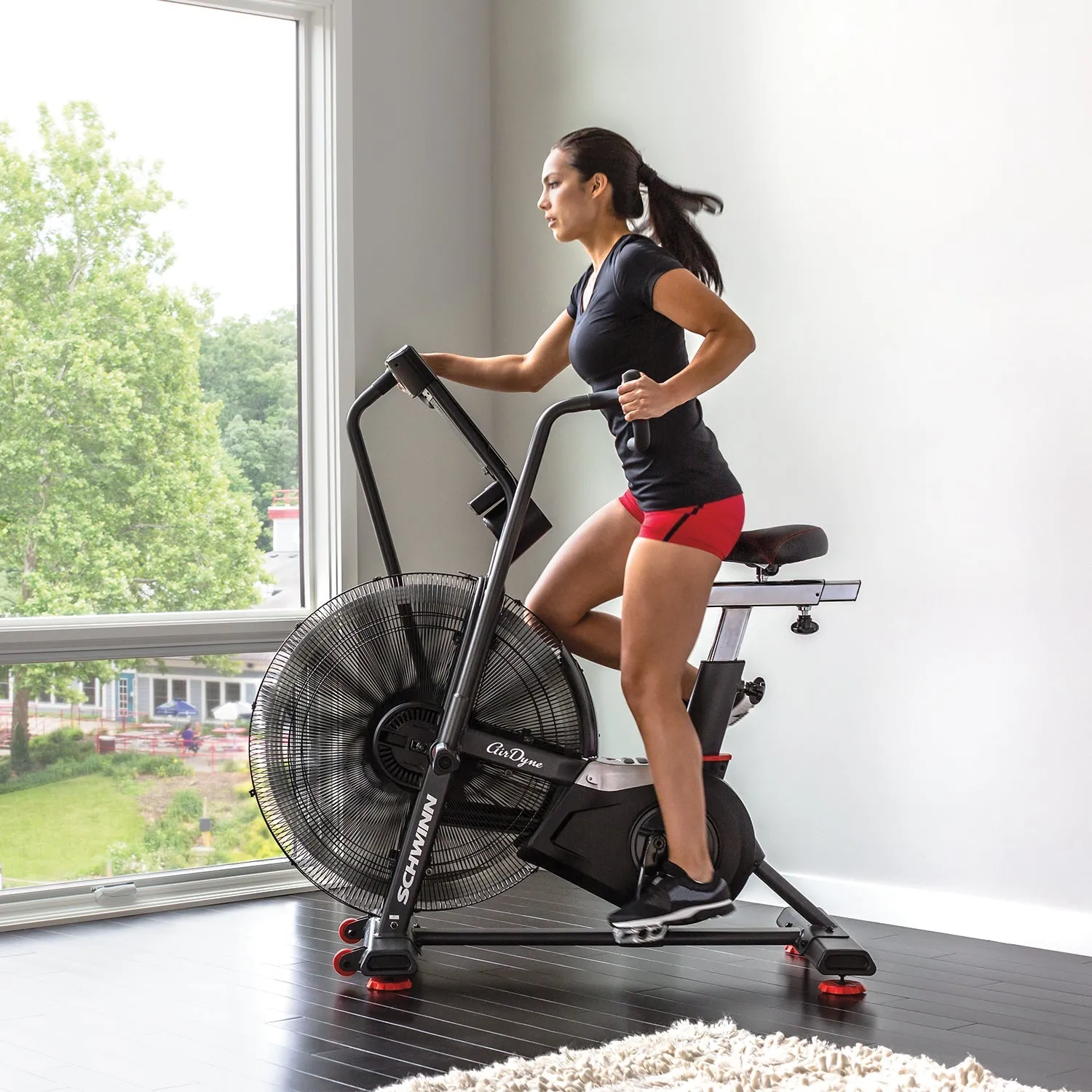Schwinn Fitness Airdyne AD8i Bike, Weightlifting belt, Other Fitness Equipment