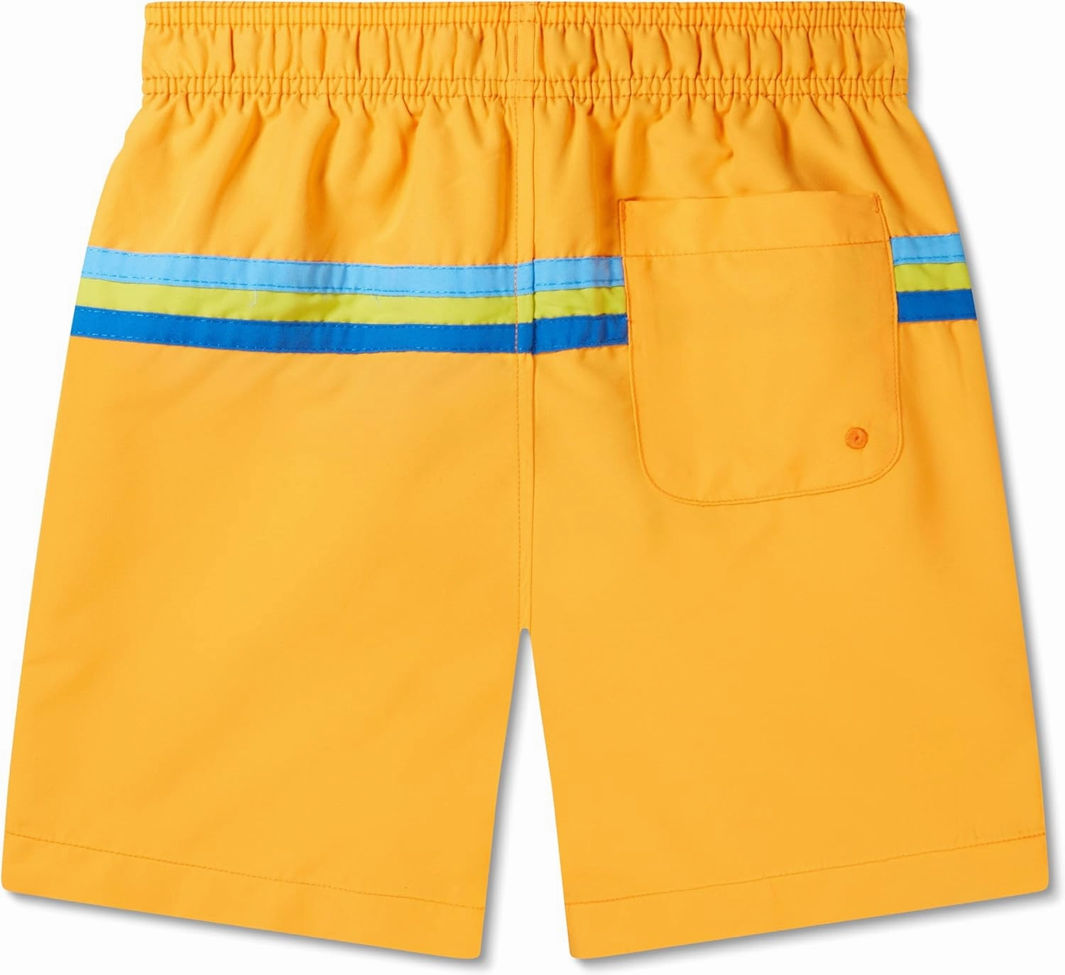 Speedo Boy's Swim Trunk Mid Length Redondo Printed