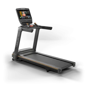 Steal the Spotlight Lifestyle Treadmill with Touch XL Console Trending Now, Elliptical Crosstrainers