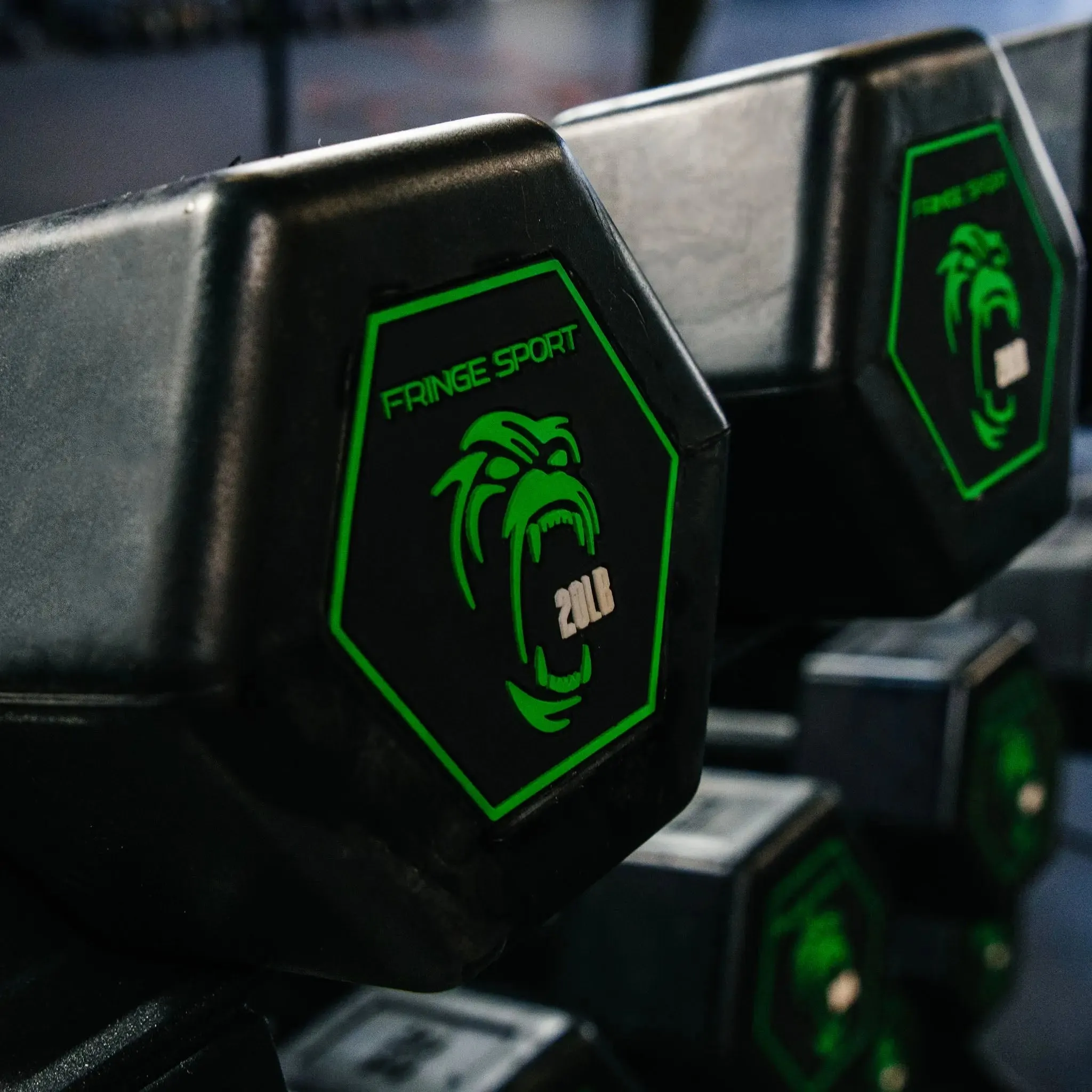 Silverback Rubber Coated Dumbbells, Cyber Monday gym equipment, Meal prep containers, Commercial Treadmills