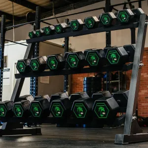 Steal the Spotlight Silverback Rubber Coated Dumbbells Must Try, Meal prep containers, Boxing,MMA