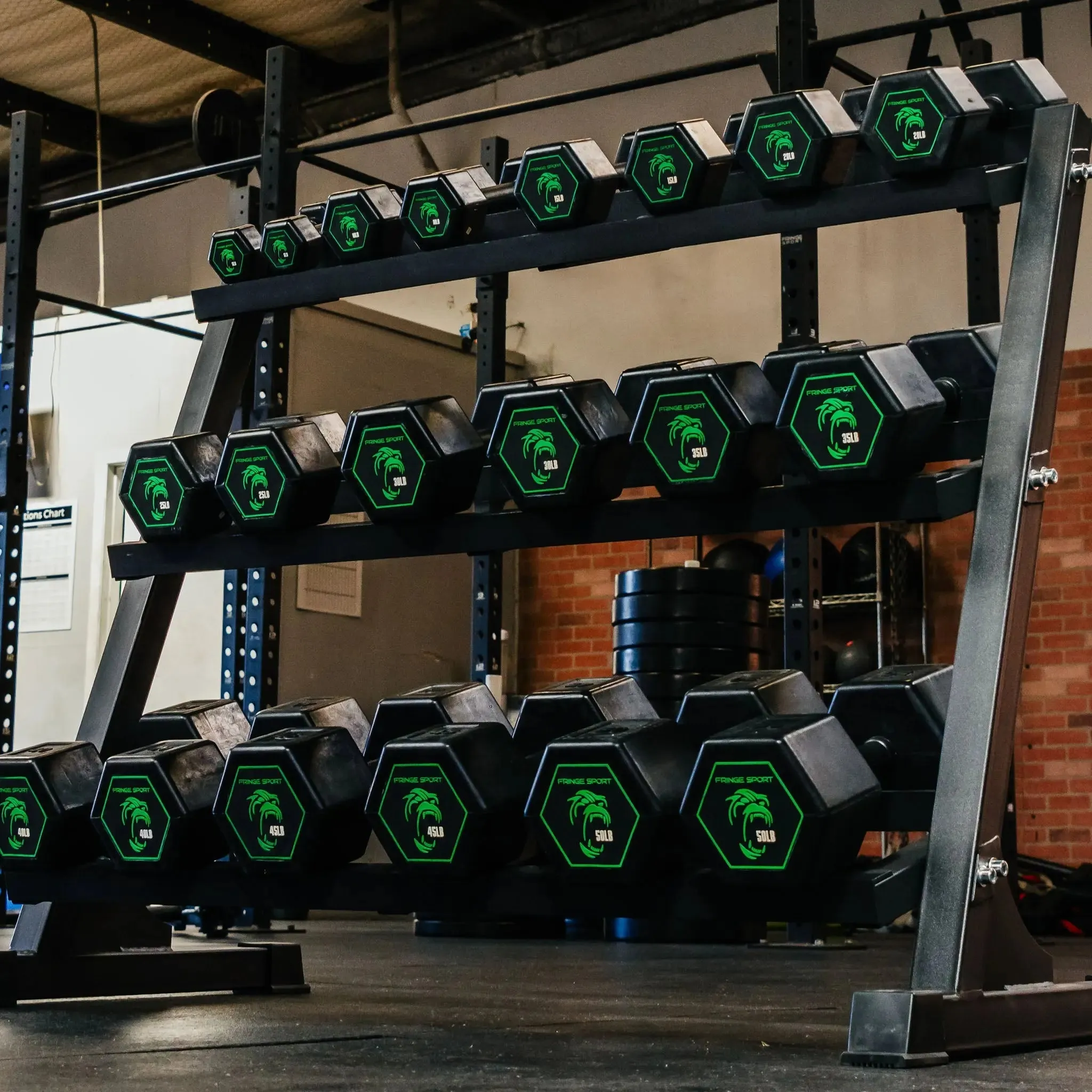 Steal the Spotlight Silverback Rubber Coated Dumbbells Must Try, Meal prep containers, Boxing,MMA