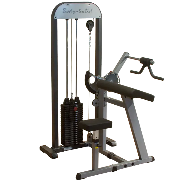 Style Meets Function Bodysolid Pro Select Biceps and Triceps Machine (210lbs) Steal the Spotlight, Yoga wheel for back, Doorway chin up bar, Yoga strap with buckle
