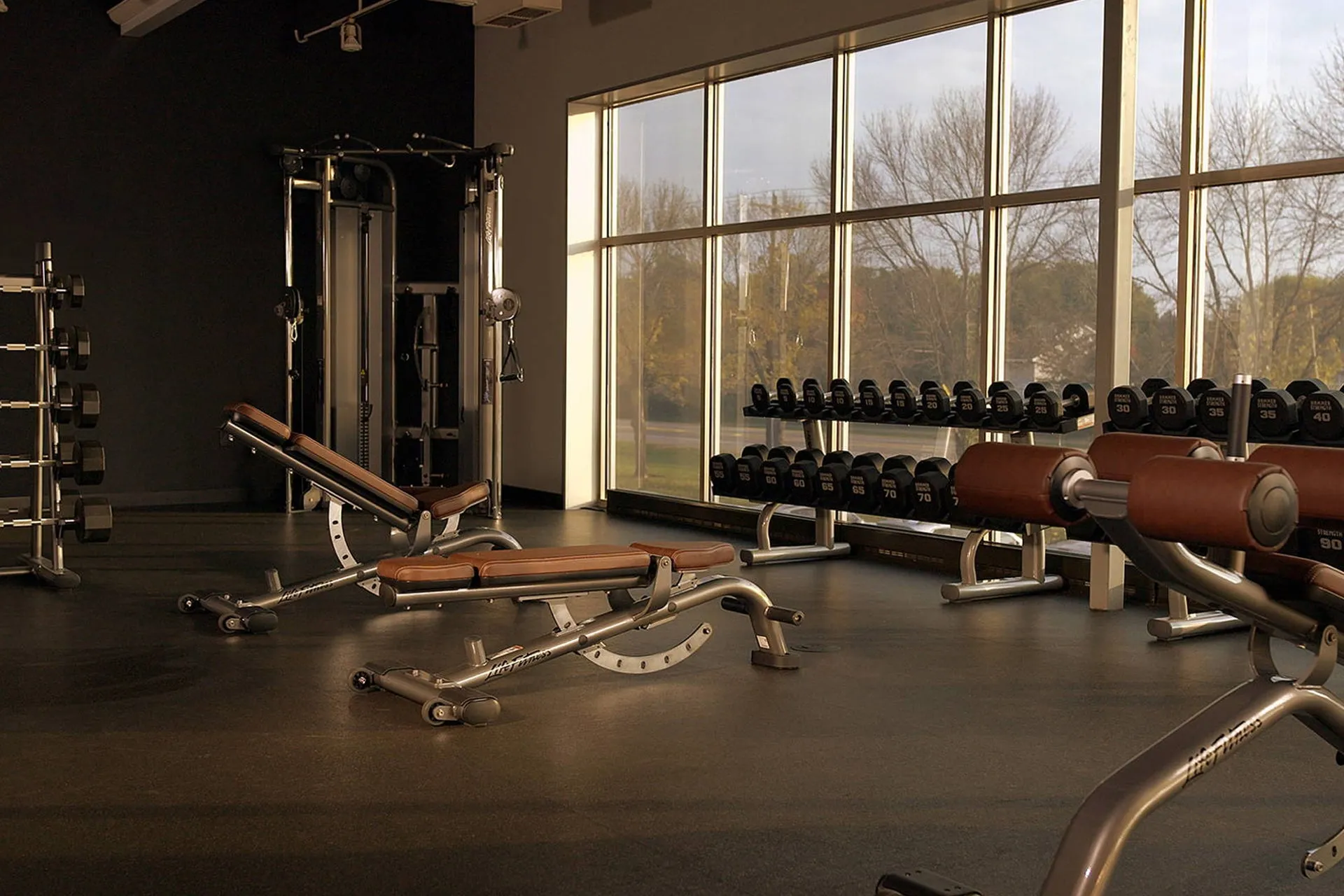 Life Fitness Multi-Adjustable Bench, Bodyweight Exercises, Leg press machine, Home Gyms