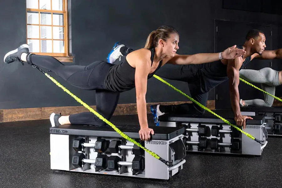 FITBENCH STUDIO Weight Bench, Weightlifting shoes, Specialty Benches,Single Stations