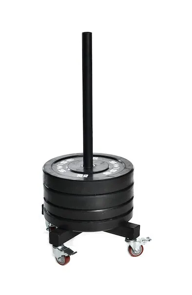 Swiss Barbell Bumper Tower, Chin Up,Pull Up Bars, Benches, Manual treadmill